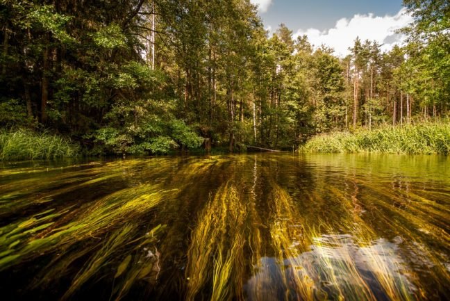 Pengetahuan Tentang Air Saat Survival pengetahuan-tentang-air-saat-survival