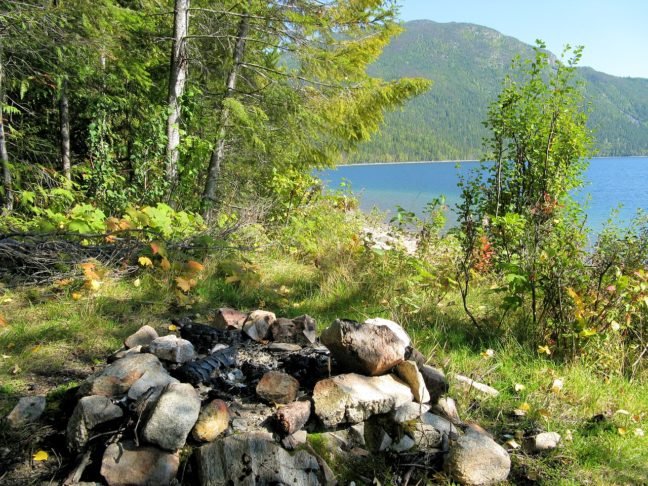 Tumbuhan dan Binatang yang Dapat Dimakan Saat Survival Tumbuhan Binatang dapat dimakan